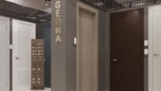 Дизайн проект салона дверей Geona